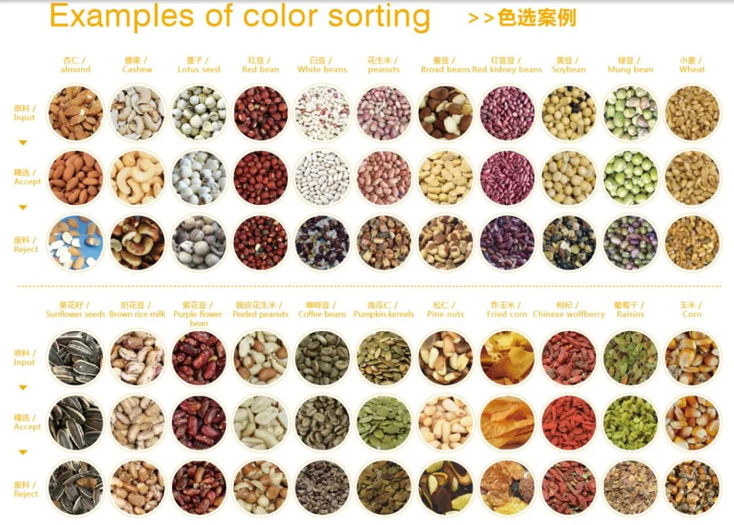 Plastic Caps Sorting Machine Waste Plastic Color Sorter Machine