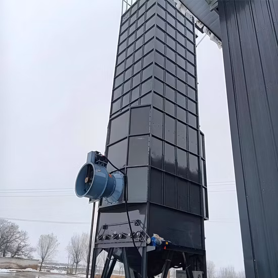 Macchina per l'essiccazione del grano esaurito del piccolo risone ad aria calda / Essiccatore per il mais del grano / Essiccatore per il riso nelle Filippine